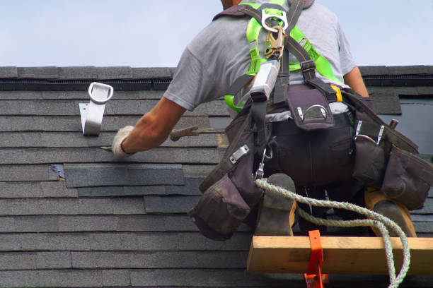Roof Gutter Cleaning in Atkins, IA